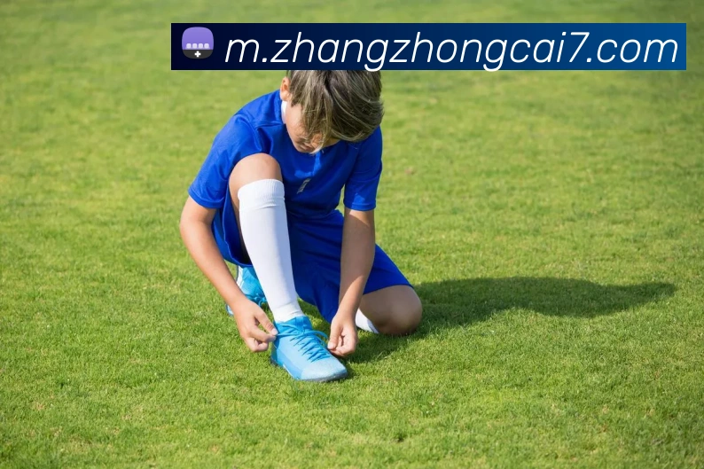 对战数据统计